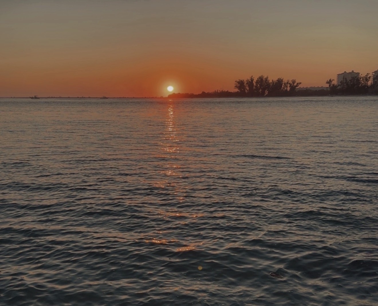 Sunset over Sarasota Bay from a Florida Fisherman Charters trip