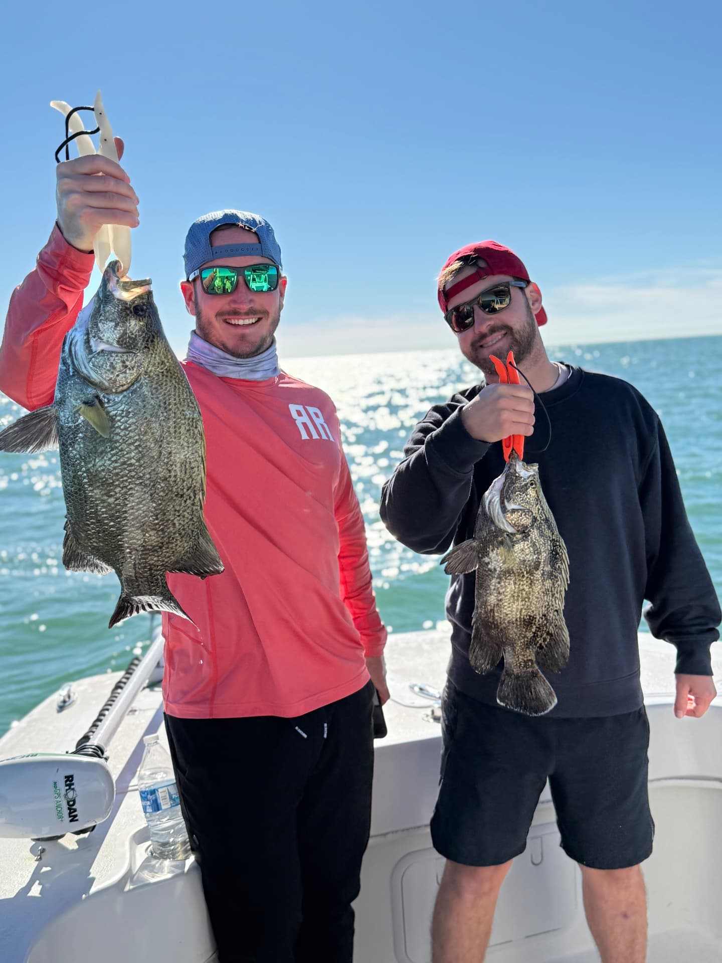 Tripletail caught on a Florida Fisherman charter with Captain Brendan